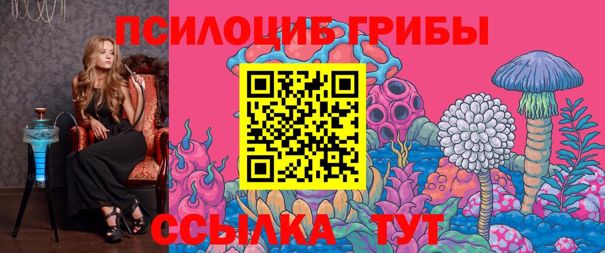 Галлюциногенные грибы Cubensis Удомля