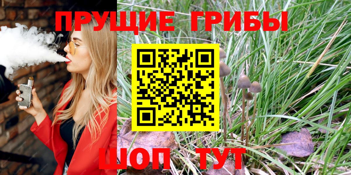 Галлюциногенные грибы Psilocybine cubensis  Вход с VPN  Удомля 